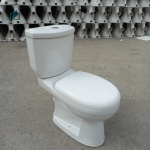 Modern Ceramic Dual Flush Toilet