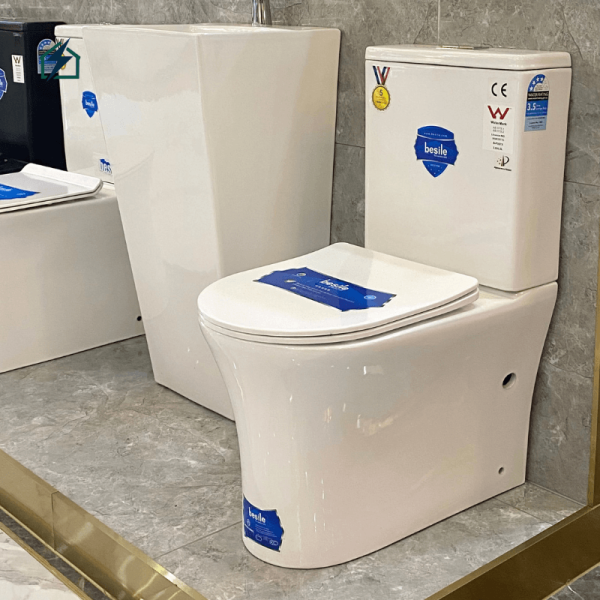 Modern Dual Flush Ceramic Toilet
