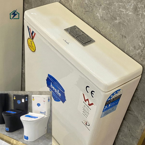 Modern Dual Flush Ceramic Toilet