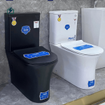 Modern Dual Flush Ceramic Toilet