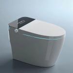 Luxury Modern European Wall Hung WC – Bathroom Toilet Ghana