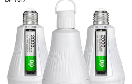 The Bulb That Refused to Die