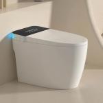 Luxury Modern European Wall Hung WC – Bathroom Toilet Ghana