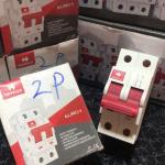 Havells 2-Pole Circuit Breaker – Dual Line Protection Ghana