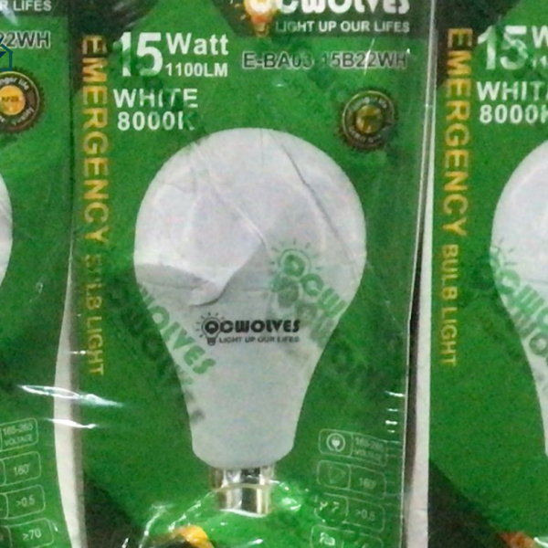 Dumsor Rechargeable Emergency LED Bulb