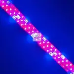 100m Waterproof Full Spectrum LED Grow Strip Light with 96 LEDs – Ghana