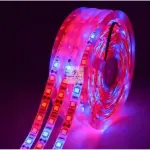 100m Waterproof Full Spectrum LED Grow Strip Light with 96 LEDs – Ghana