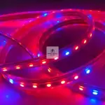 100m Waterproof Full Spectrum LED Grow Strip Light with 96 LEDs – Ghana