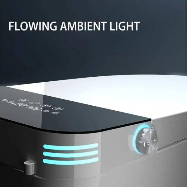 Luxury Modern European Wall Hung WC – Bathroom Toilet Ghana