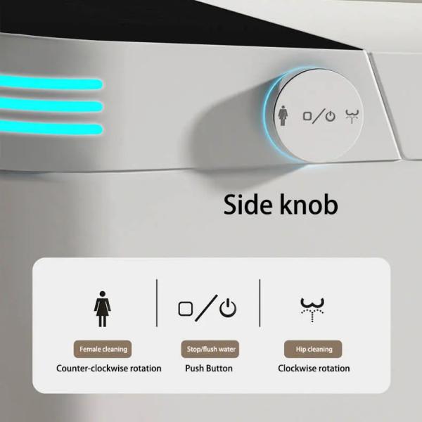 Luxury Modern European Wall Hung WC – Bathroom Toilet Ghana