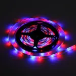 5M RGB Flexible LED Strip Light, 24-Key Remote & 12V 2A Power Adapter
