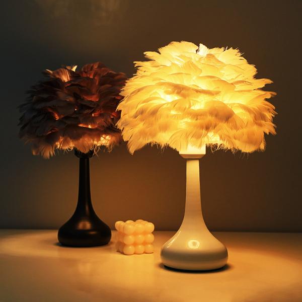 Feather Desk Lamp TD23/TD24 – Bedside Decorative Lamp Ghana