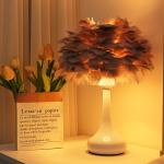 Feather Desk Lamp TD23/TD24 – Bedside Decorative Lamp Ghana