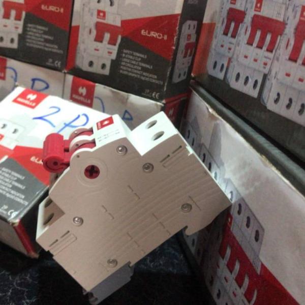 Havells 2-Pole Circuit Breaker – Dual Line Protection Ghana