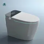 Luxury Modern European Wall Hung WC Toilet for Homes, Hotels & Commercial Bathrooms in Ghana