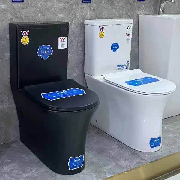 Modern Dual Flush Ceramic Toilet Ghana