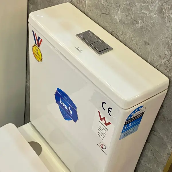 Modern Dual Flush Ceramic Toilet Ghana