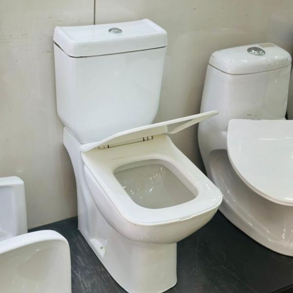 Frencia Western Elongated Toilet – Dual-Flush Ceramic Floor-Mounted WC