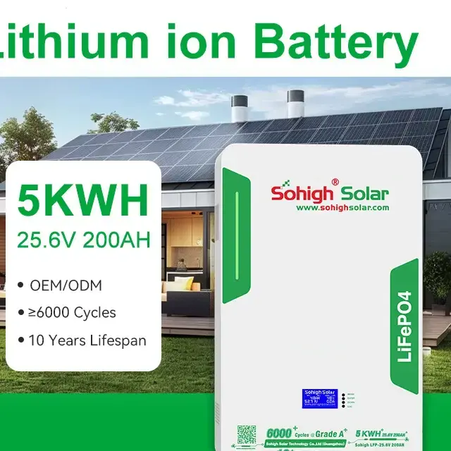 10kWh LiFePO4 Solar Battery 51.2V with Smart BMS – Wall-Mounted Energy Storage System (2)