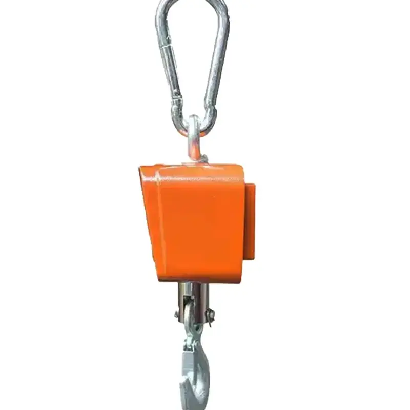 500kg1000kg Digital Electronic Crane Scale with Rotatable Hook Ghana (2)