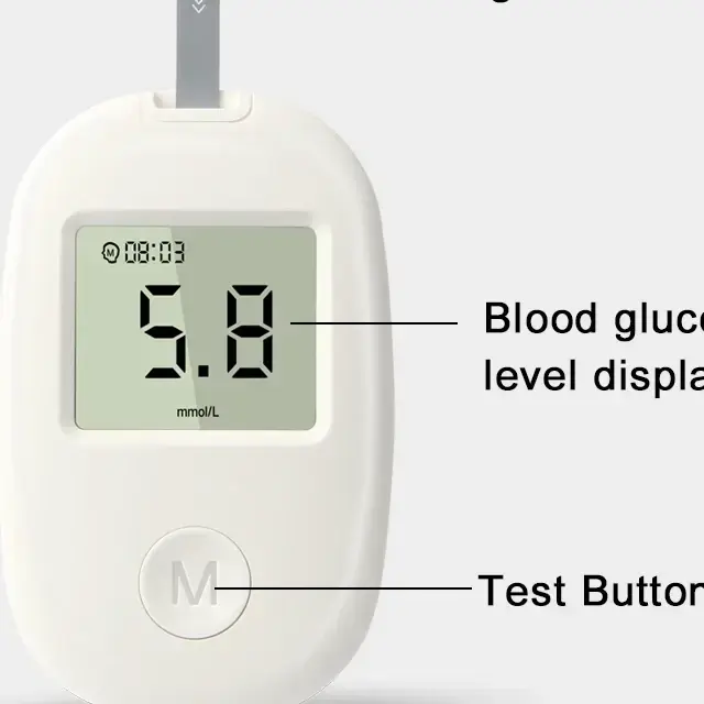 Blood Glucose Meter – Digital Blood Sugar Testing Kit with LCD Display & Test Strips (6)