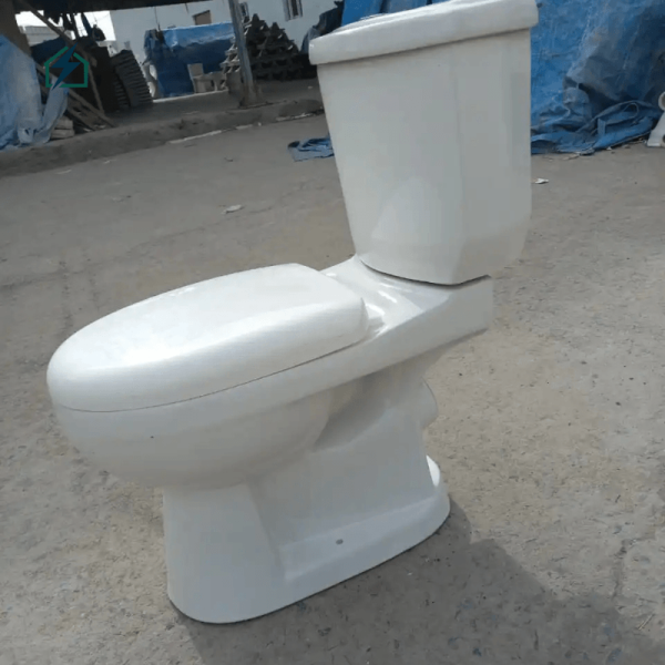 Modern Ceramic Dual Flush Toilet