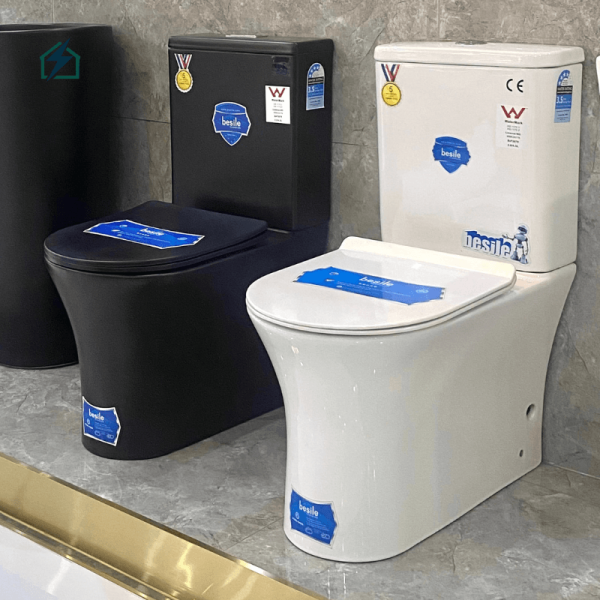 Modern Dual Flush Ceramic Toilet