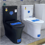 Modern Dual Flush Ceramic Toilet