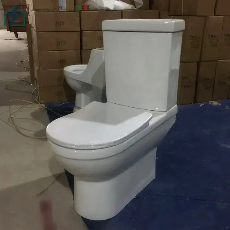 Dual Flush Ceramic Toilet – Water Saving Toilet for Homes, Hotels & Offices Ghana (1)