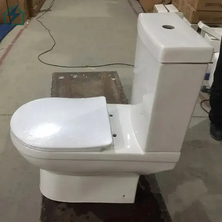 Dual Flush Ceramic Toilet – Water Saving Toilet for Homes, Hotels & Offices Ghana (4)