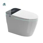 Luxury Modern European Wall Hung WC Toilet for Homes, Hotels & Commercial Bathrooms in Ghana